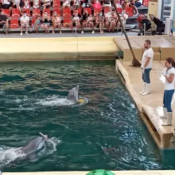 Varna Dolphinarium - Varzulitsa