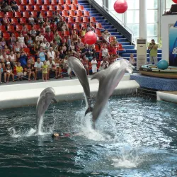 Varna Dolphinarium - Varzulitsa