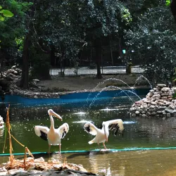 Varna Zoo - Varzulitsa