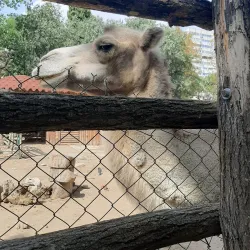 Varna Zoo - Varzulitsa