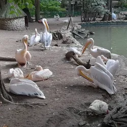 Varna Zoo - Varzulitsa