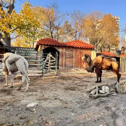 Varna Zoo - Varzulitsa