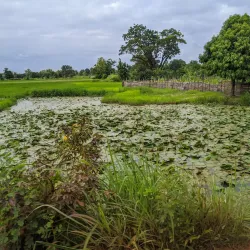 A picturesque scene in Dano