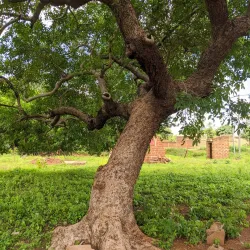 A picturesque scene in Dano