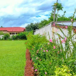 Bujumbura Botanical Gardens - Bujumbura