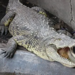 Musee Vivant (Living Museum) - Bujumbura