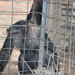 Musee Vivant (Living Museum) - Bujumbura