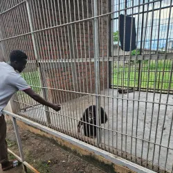 Musee Vivant (Living Museum) - Bujumbura