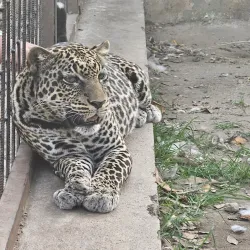 Musee Vivant (Living Museum) - Bujumbura