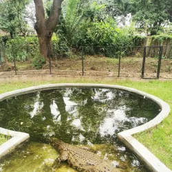 Musee Vivant (Living Museum) - Bujumbura