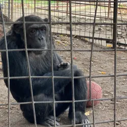 Musee Vivant (Living Museum) - Bujumbura