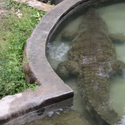 Musee Vivant (Living Museum) - Bujumbura