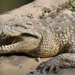 Musee Vivant (Living Museum) - Bujumbura