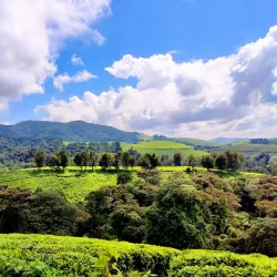 Peace Park - Bujumbura