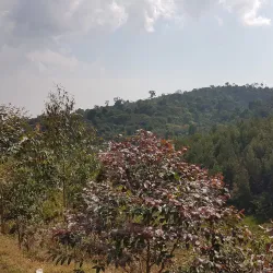 Peace Park - Bujumbura