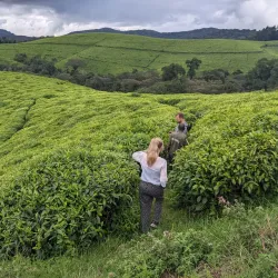 Peace Park - Bujumbura