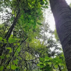 Peace Park - Bujumbura