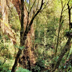 Peace Park - Bujumbura