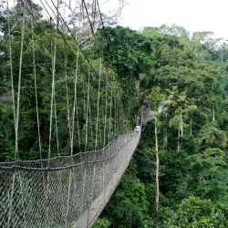 Peace Park - Bujumbura