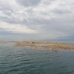 Rusizi National Park - Bujumbura