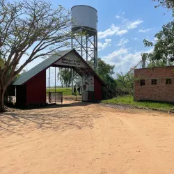 Rusizi National Park - Bujumbura