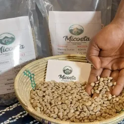 Local Coffee Plantations - Muyinga