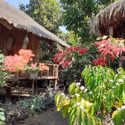 Indigenous Villages - Banlung