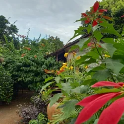 Indigenous Villages - Banlung