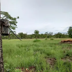 Lumphat Wildlife Sanctuary - Banlung