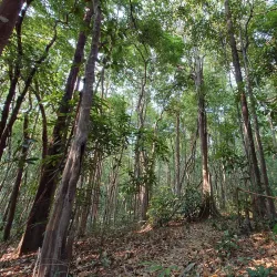 Lumphat Wildlife Sanctuary - Banlung