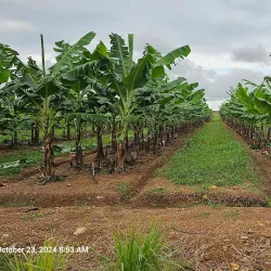 Lumphat Wildlife Sanctuary - Banlung