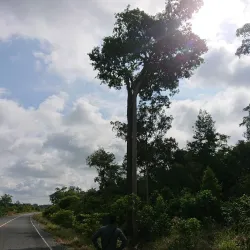 Lumphat Wildlife Sanctuary - Banlung