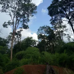 Lumphat Wildlife Sanctuary - Banlung