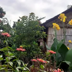 Tampuan Cultural Village - Banlung