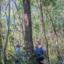 Virachey National Park - Banlung