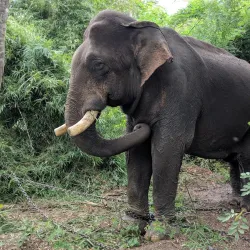 Volcanic Crater Lakes - Banlung