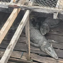 Tonle Sap River Floating Villages - Kampong Chhnang
