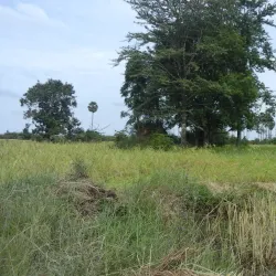 Wat Kampong Chhnang - Kampong Chhnang
