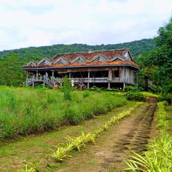 Kampot Pepper Plantations - Kampot