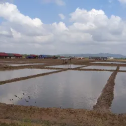 Salt Fields of Kampot - Kampot