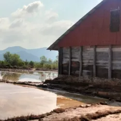 Salt Fields of Kampot - Kampot