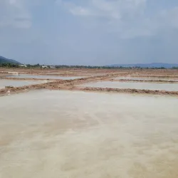 Salt Fields of Kampot - Kampot
