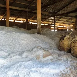 Salt Fields of Kampot - Kampot