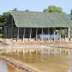 Salt Fields of Kampot - Kampot