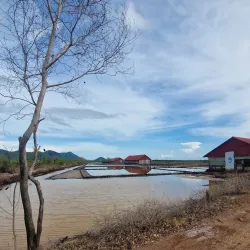 Salt Fields of Kampot - Kampot