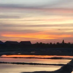 Salt Fields of Kampot - Kampot