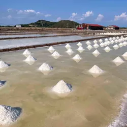 Salt Fields of Kampot - Kampot