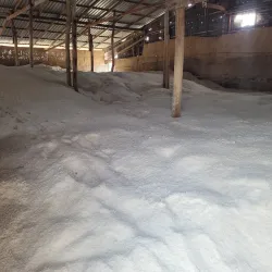 Salt Fields of Kampot - Kampot