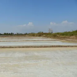 Salt Fields of Kampot - Kampot