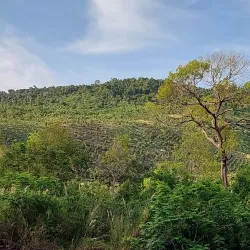 Teuk Chhou Rapids - Kampot